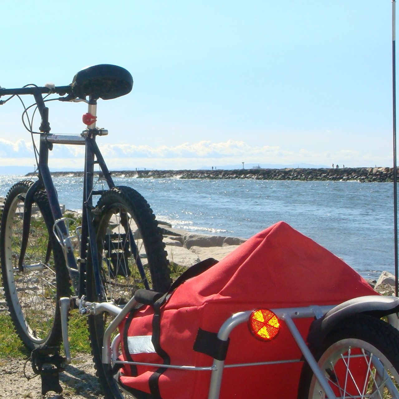 Maya Cycle bike trailer