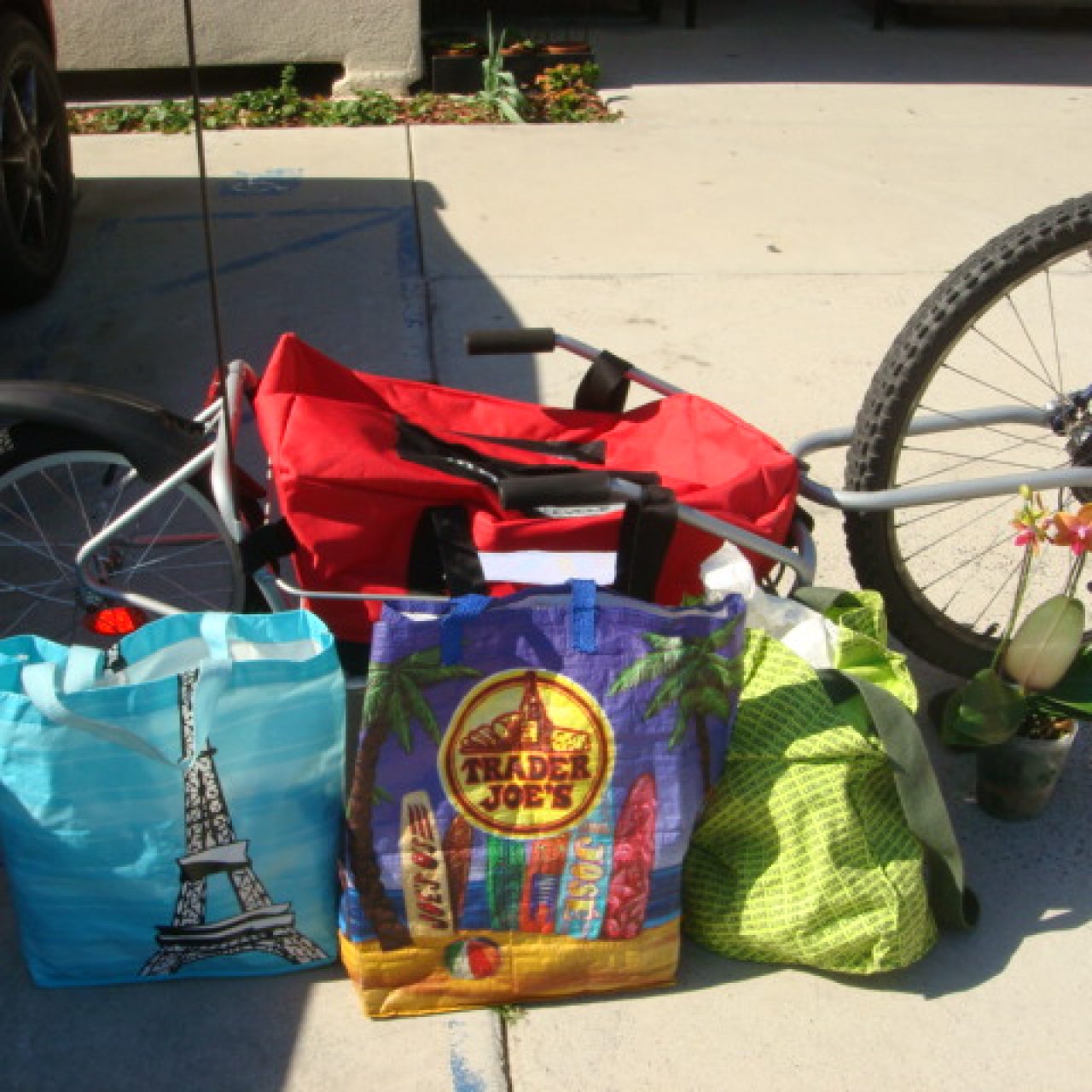 Bike Trailer Grocery Shopping