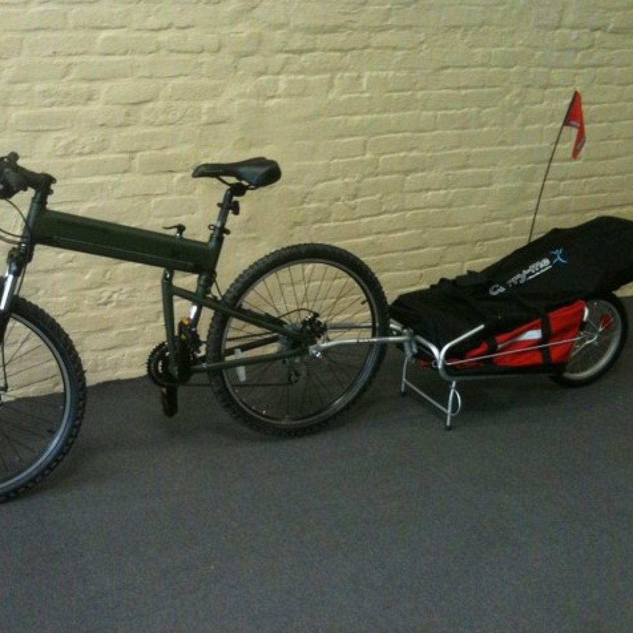 Courier Bike Trailer Maya Cycle