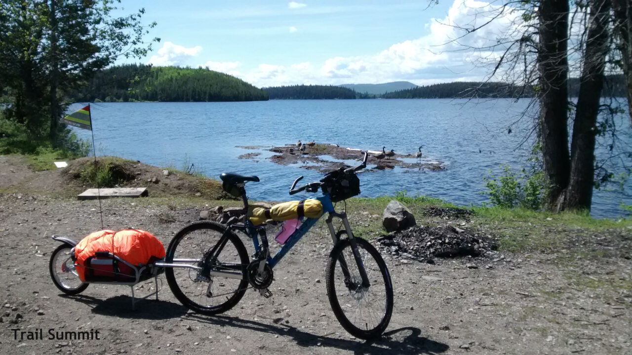 2014 from victor sanchez