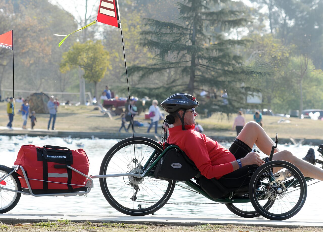 trike bike trailer 2a (1)